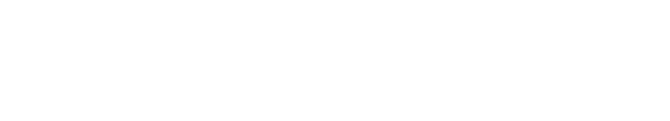 5 Estrellas